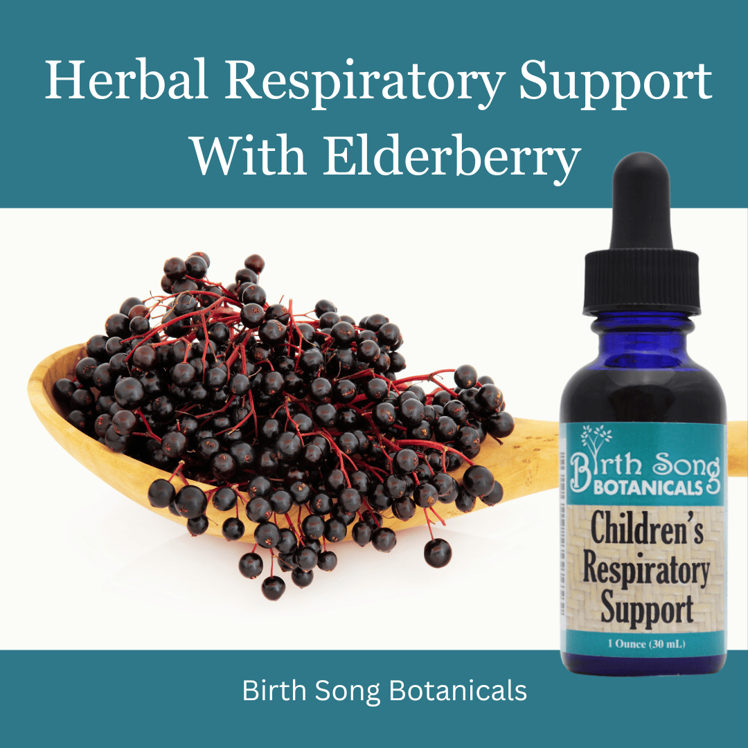 Birth Song Botanicals Co. Tinctures Default Children’s Herbal Tincture – Elderberry &amp;amp; Botanical Blend (1 oz)