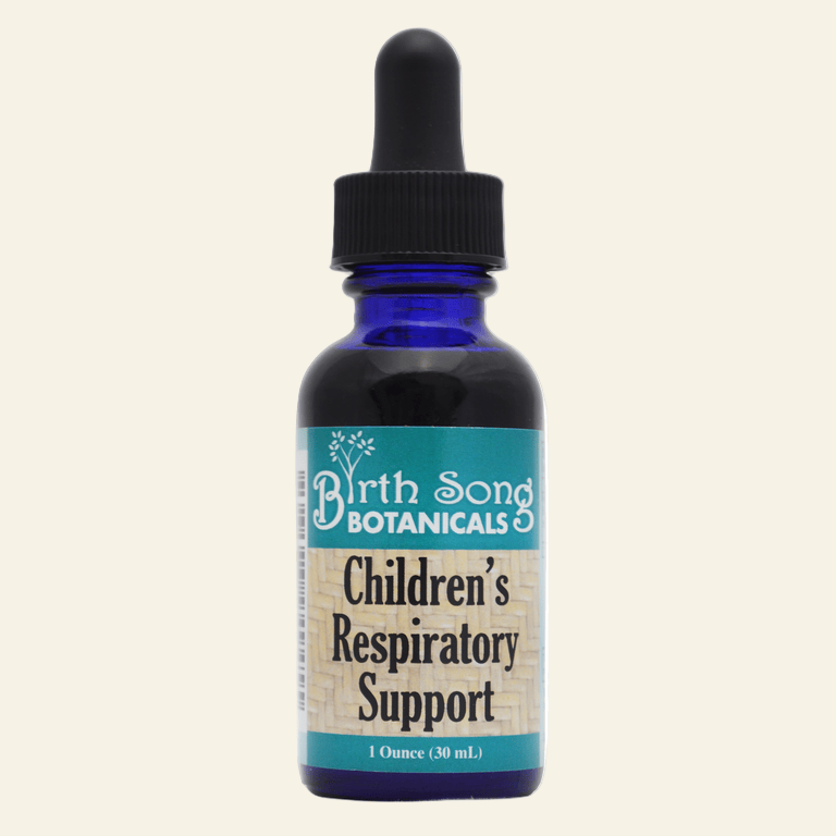 Birth Song Botanicals Co. Tinctures Default Children’s Herbal Tincture – Elderberry &amp;amp; Botanical Blend (1 oz)