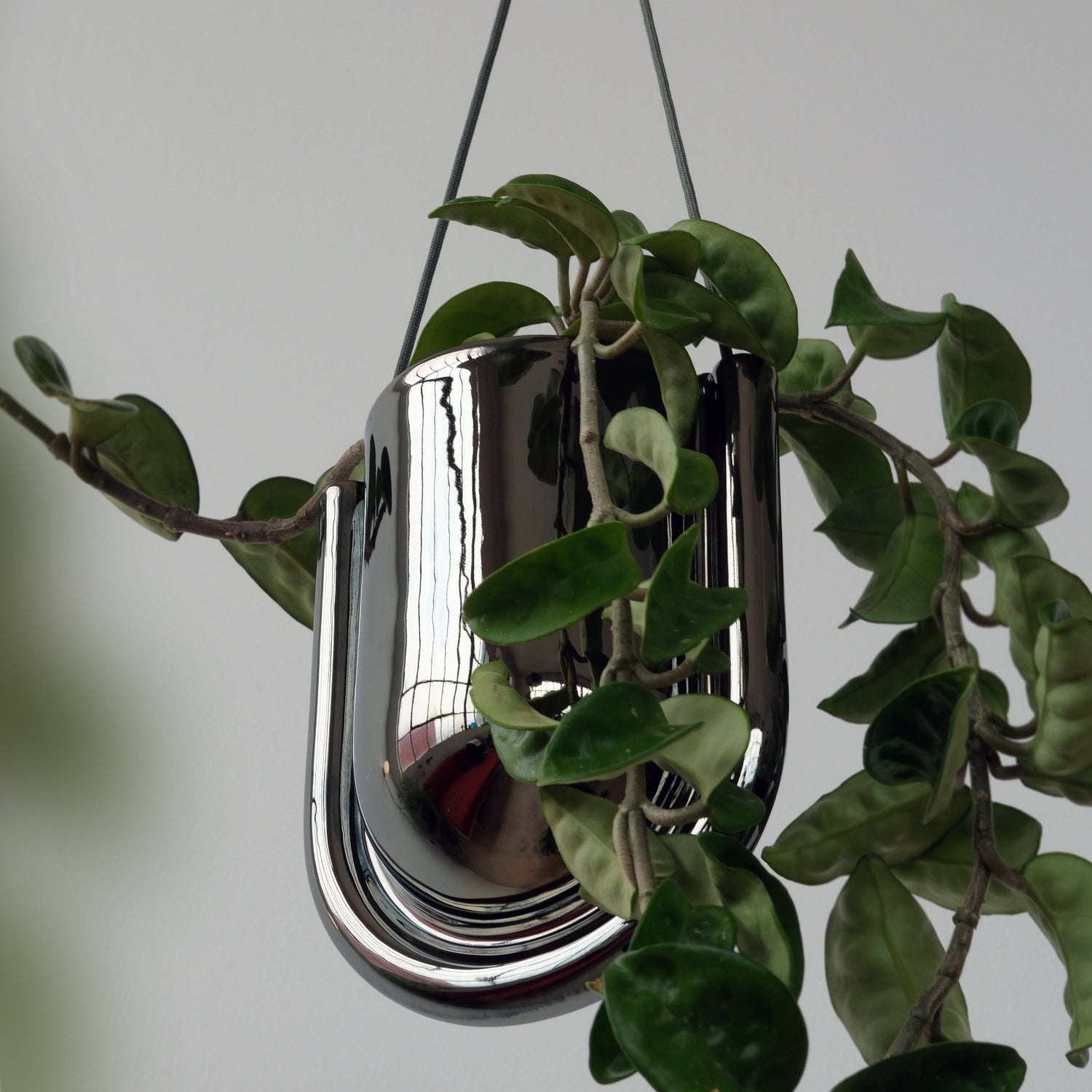 Misewell Pots &amp; Planters Chrome Portico Planter