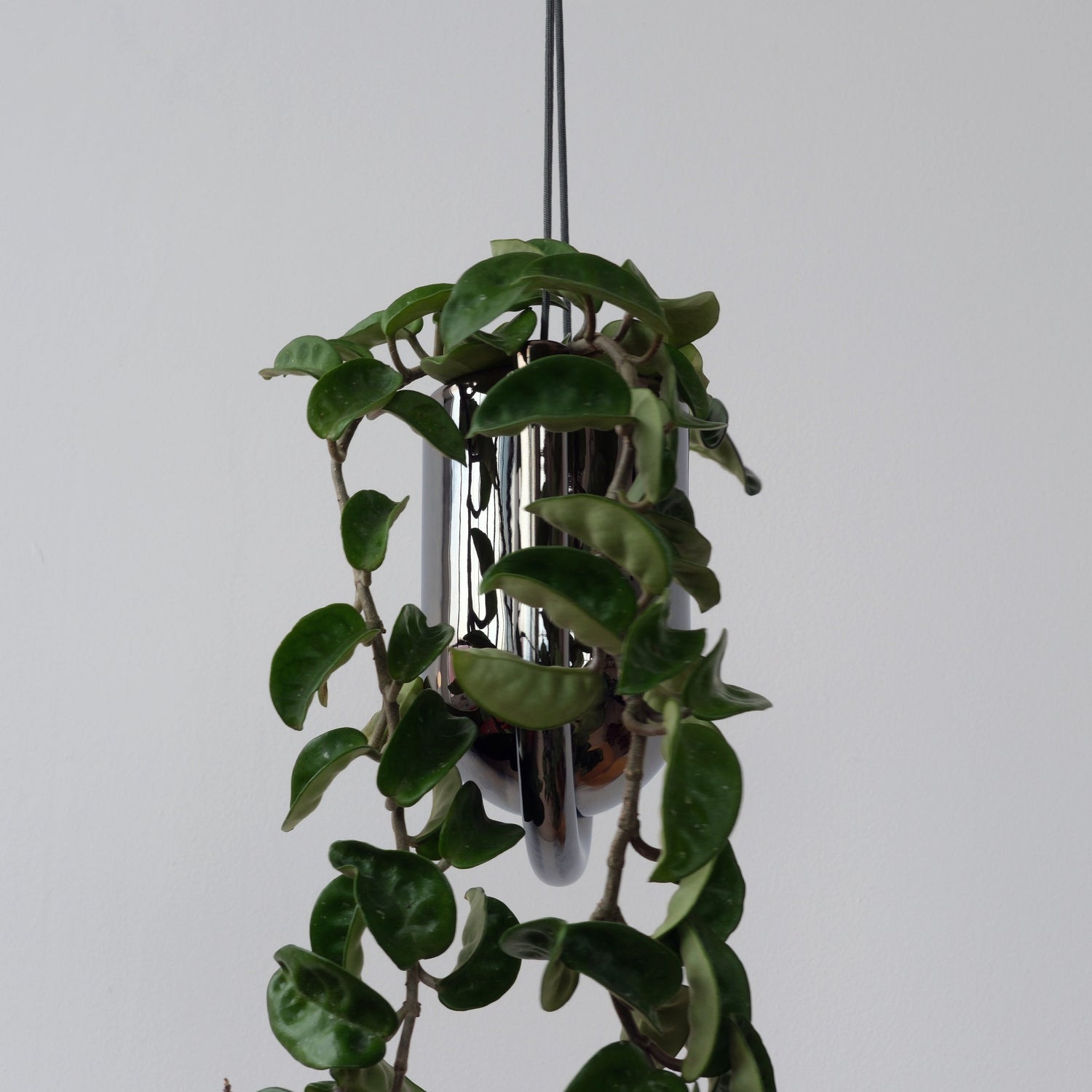Misewell Pots &amp; Planters Portico Planter