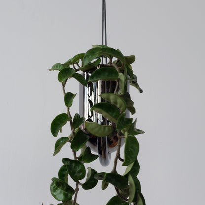 Misewell Pots &amp; Planters Portico Planter