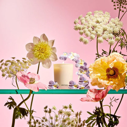 APOTHEKE Votives Elderflower Sugar Votive