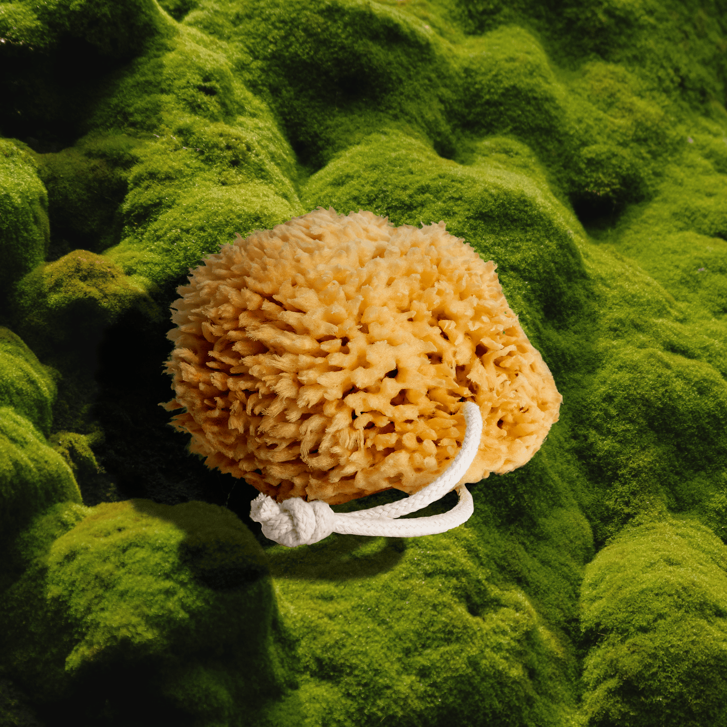Firsthand Supply Sponge Sea Wool Sponge