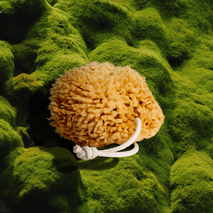 Firsthand Supply Sponge Sea Wool Sponge