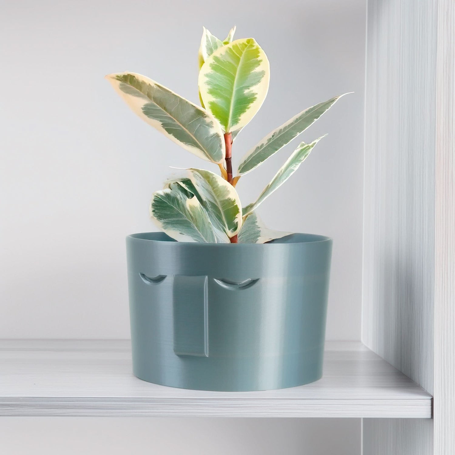 Rosebud HomeGoods Pots &amp; Planters 4 Inch / Silver / Without Drip Tray Minimal Face Planter, Small Medium Large, With Drip Tray and Great Drainage