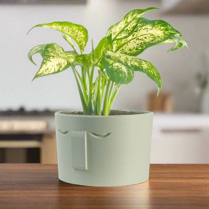 Rosebud HomeGoods Pots &amp; Planters 4 Inch / Cream / Without Drip Tray Minimal Face Planter, Small Medium Large, With Drip Tray and Great Drainage