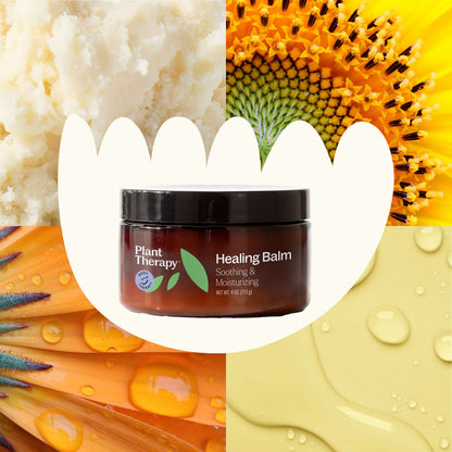 Plant Therapy Body Care 4 oz Healing Balm