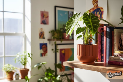 Rosebud HomeGoods Modern Indoor Planter with Drainage – 3D Printed Fluted Plant Pot, Vertical Ribbed Design, Minimalist Decor Accent, Mid-Bubble