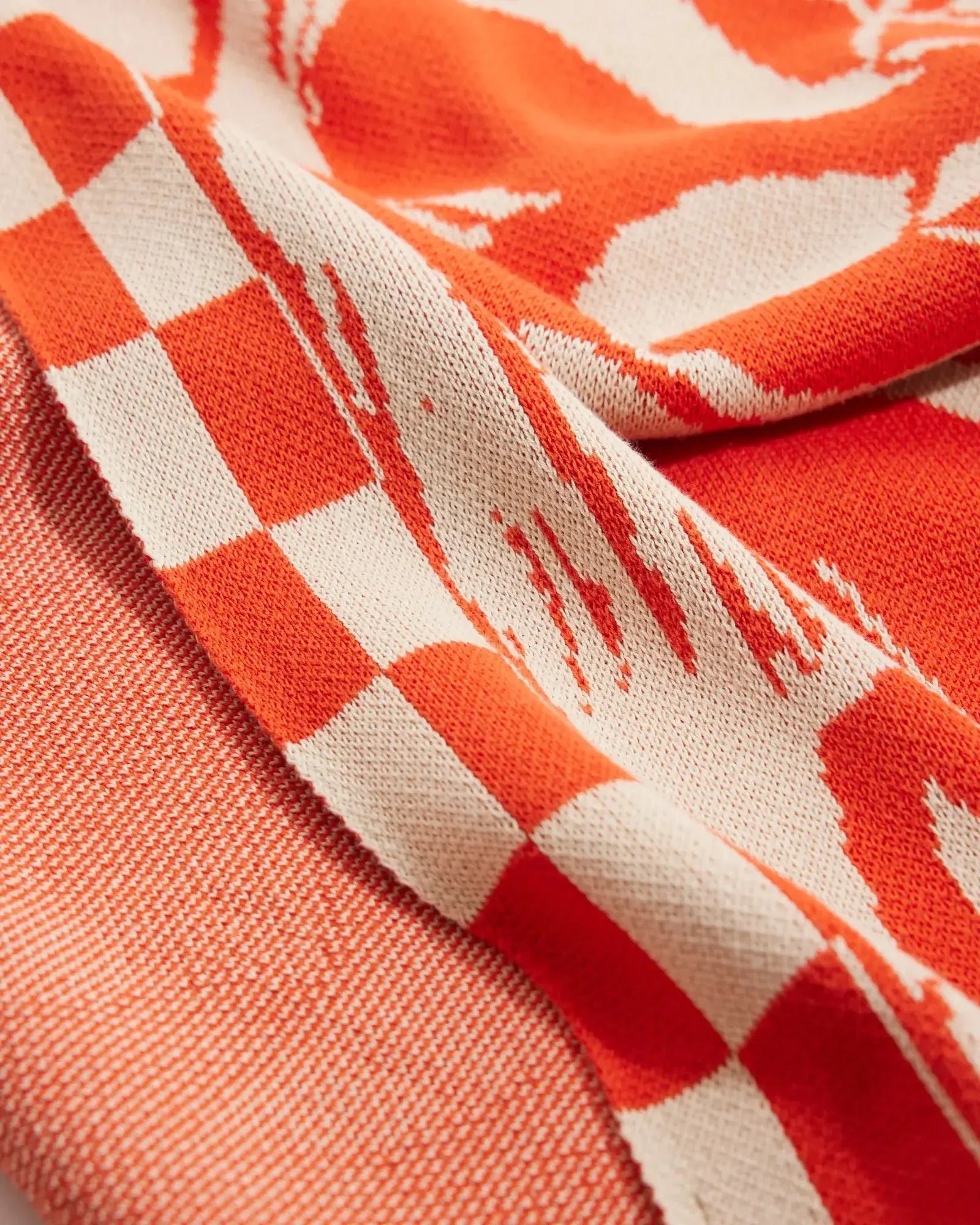 Biquette Throw Blanket Imagination