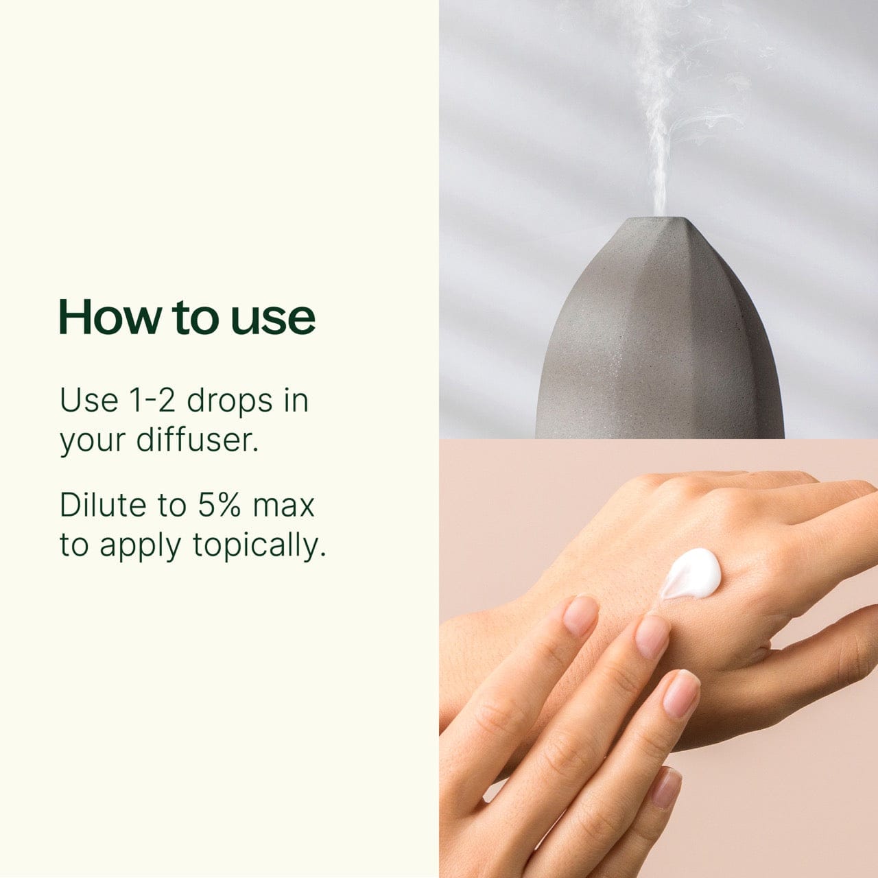 Plant Therapy Essential Oil Jasmine Sambac Absolute