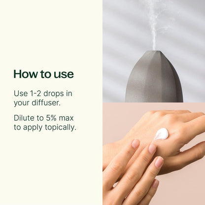 Plant Therapy Essential Oil Jasmine Sambac Absolute