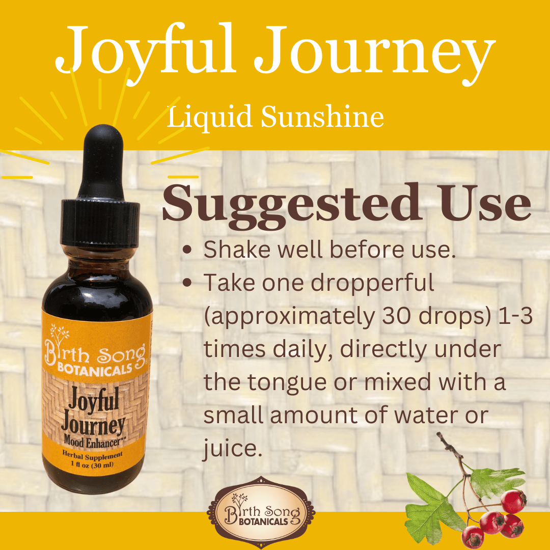 Birth Song Botanicals Co. Tinctures Joyful Journey Herbal Tincture – Botanical Blend with St. John’s Wort, Hawthorn &amp; Lemon Balm (1 oz)