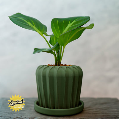 Rosebud HomeGoods