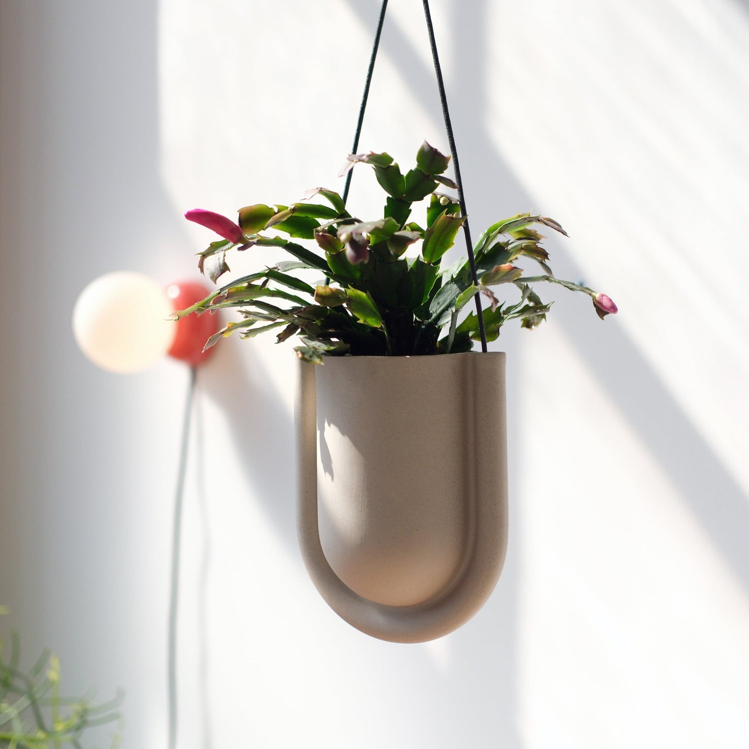 Misewell Pots &amp; Planters Dune Portico Planter