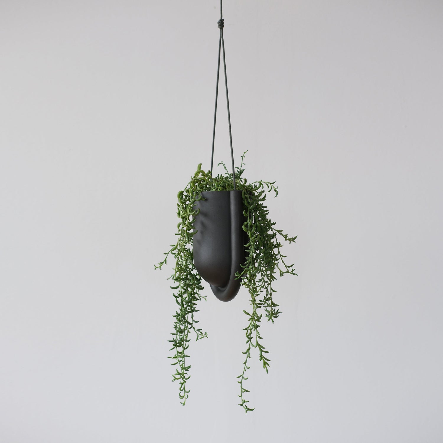 Misewell Pots &amp; Planters Black Portico Planter