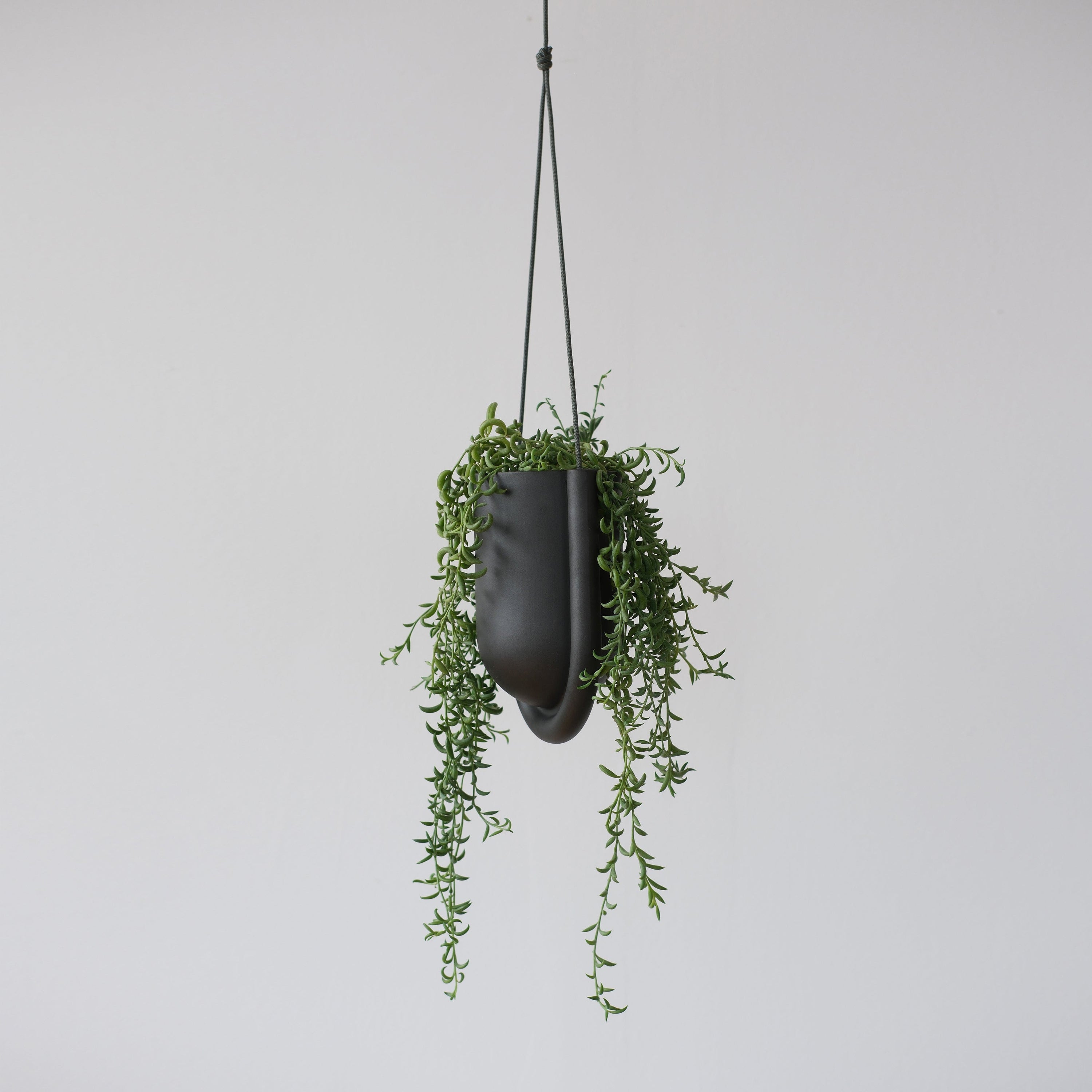 Misewell Pots &amp; Planters Black Portico Planter