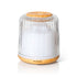 Plant Therapy Diffuser Serenity Glass Diffuser