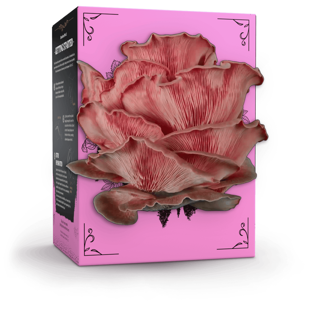 Hodgins Harvest Mushroom Growing Supplies Organic Pink Oyster Mushroom Grow Kit