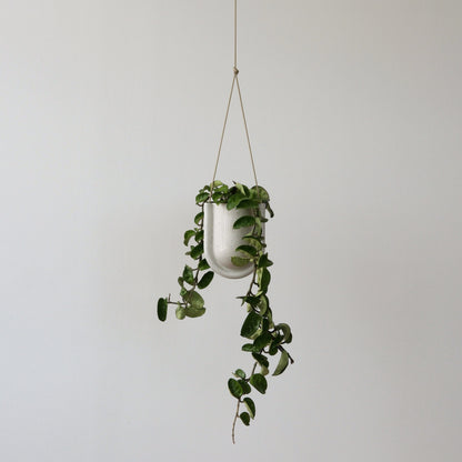 Misewell Pots &amp; Planters Portico Planter