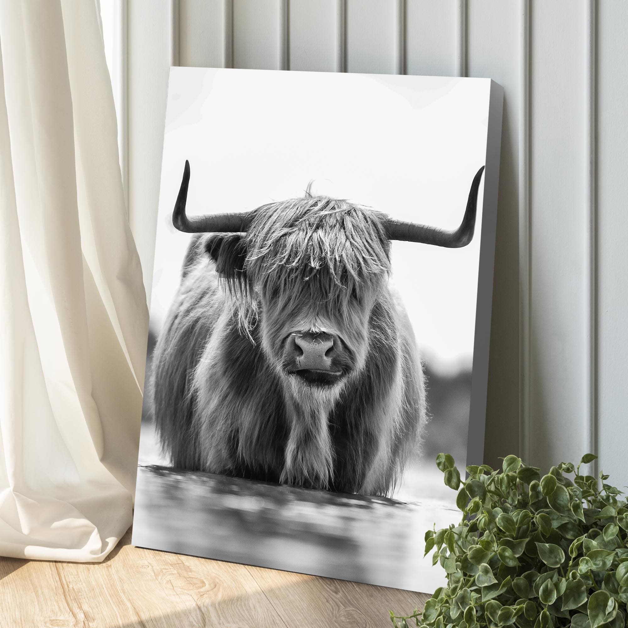 Tailored Canvases Canvas Grayscale Highland Cow Portrait Canvas Wall Art