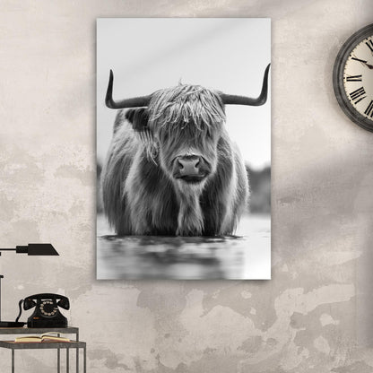 Tailored Canvases Canvas &
