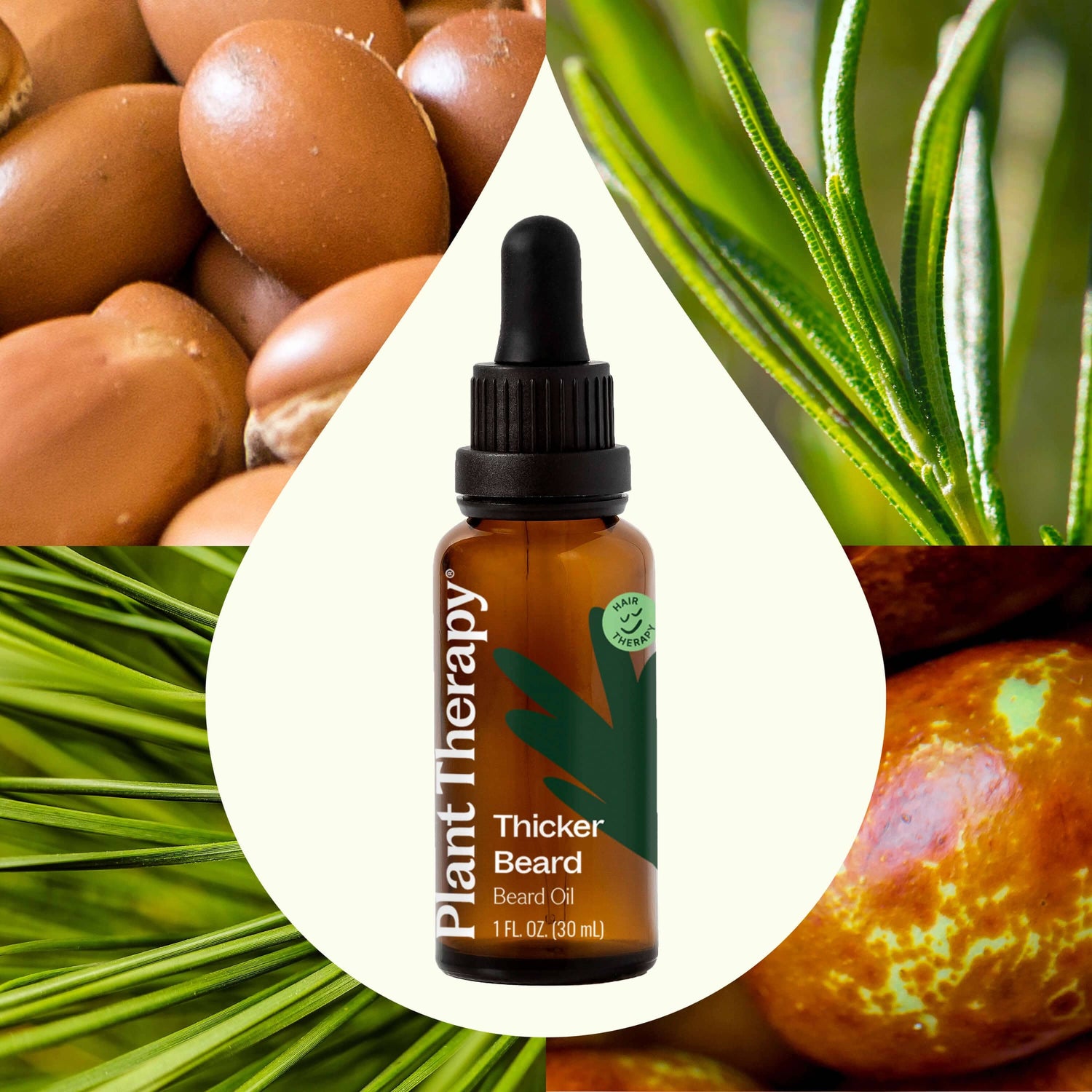 Plant Therapy Hair &amp; Skin Care 30 mL Hair Therapy Thicker Beard - Beard Oil