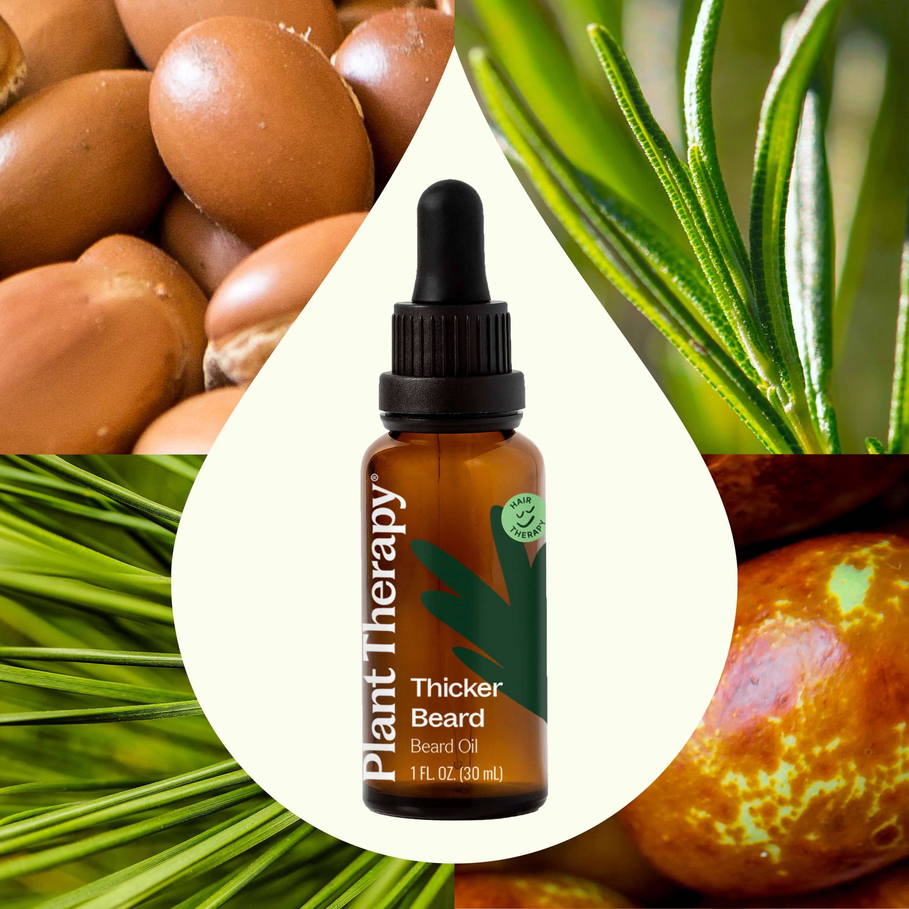 Plant Therapy Hair &amp; Skin Care 30 mL Hair Therapy Thicker Beard - Beard Oil