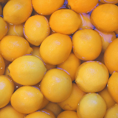 Blake Hill Preserves jam Meyer Lemon Marmalade
