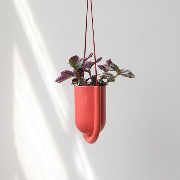Misewell Pots & Planters Portico Planter