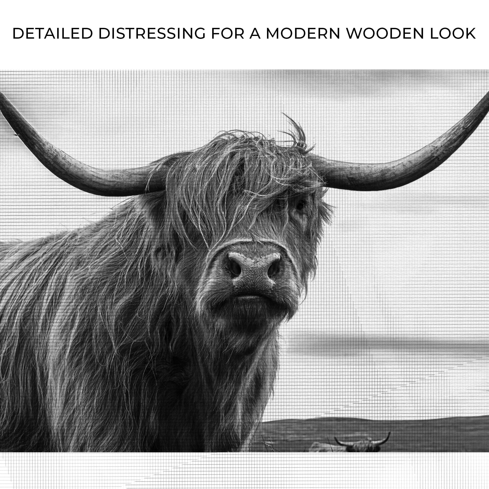Tailored Canvases Canvas Highland Cow Black And White Portrait Canvas Wall Art
