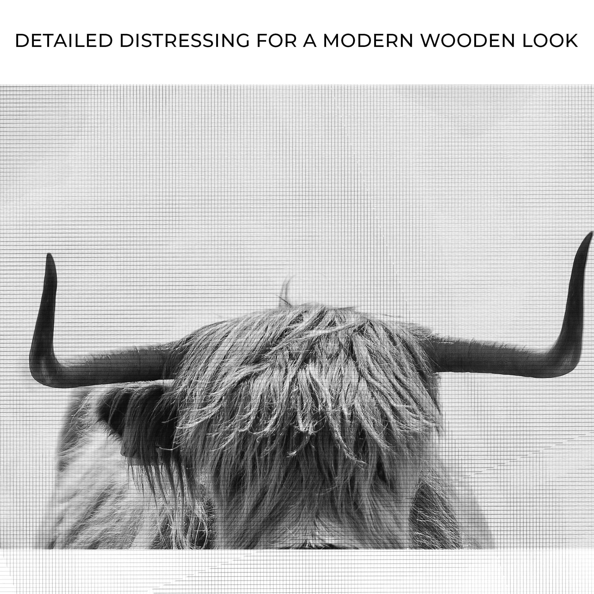 Tailored Canvases Canvas Grayscale Highland Cow Portrait Canvas Wall Art