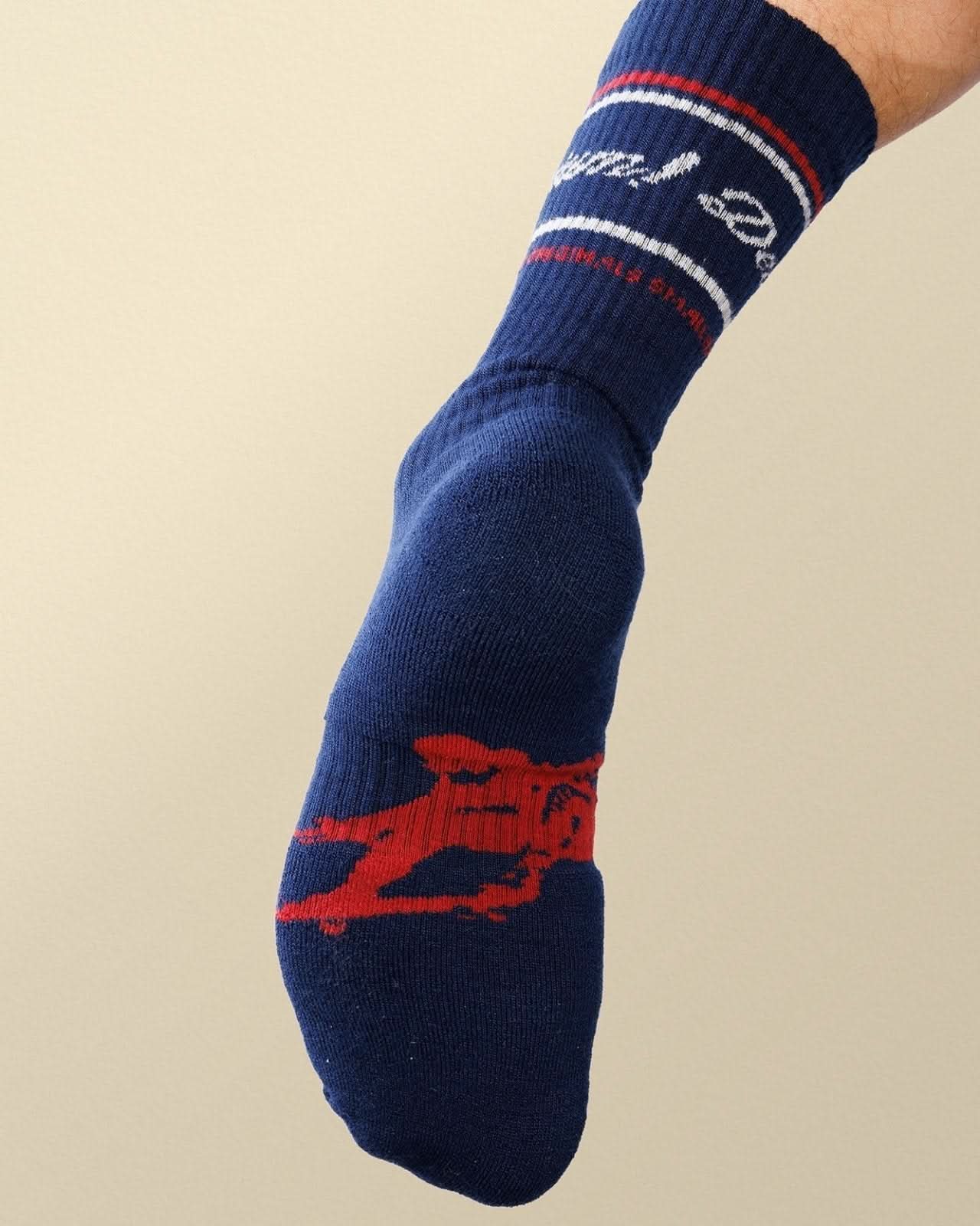 Devium Hats Burnout Merino Sock