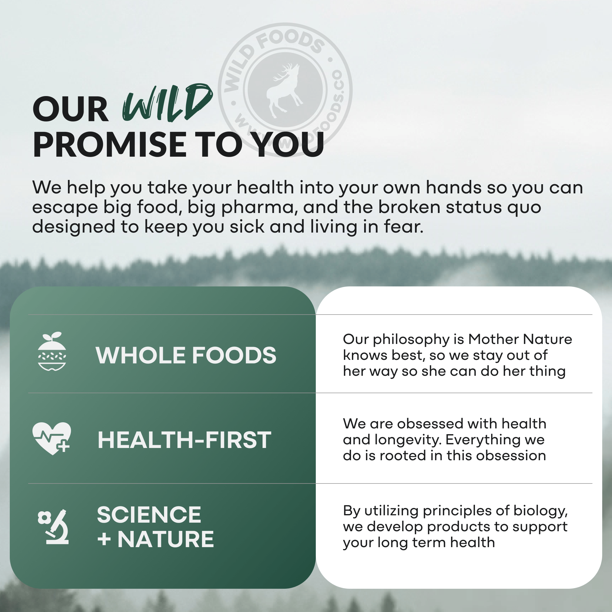 Wild Foods Oils Fish Oil Capsules, 60 servings – Omega-3 for Heart Health &amp; Cognitive Function