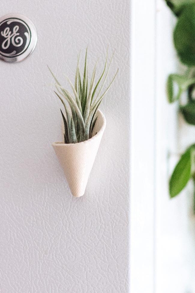 Carter + Rose Ivory/Off-White / With plant Mini Wall Planter Magnet