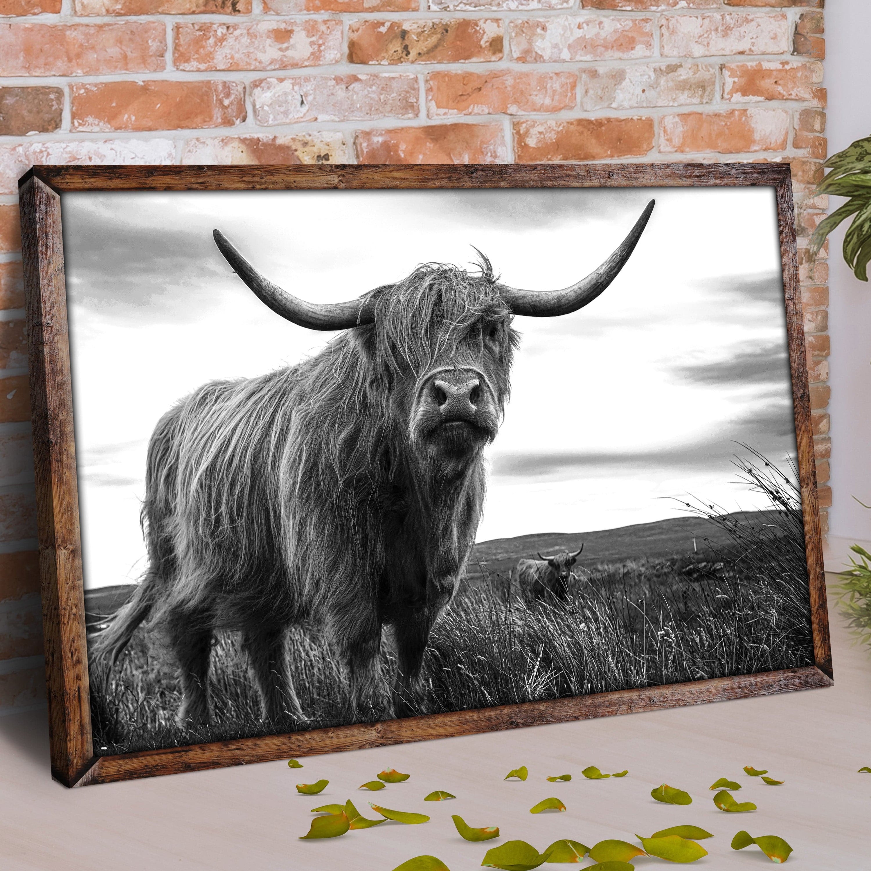 Tailored Canvases Canvas Highland Cow Black And White Portrait Canvas Wall Art