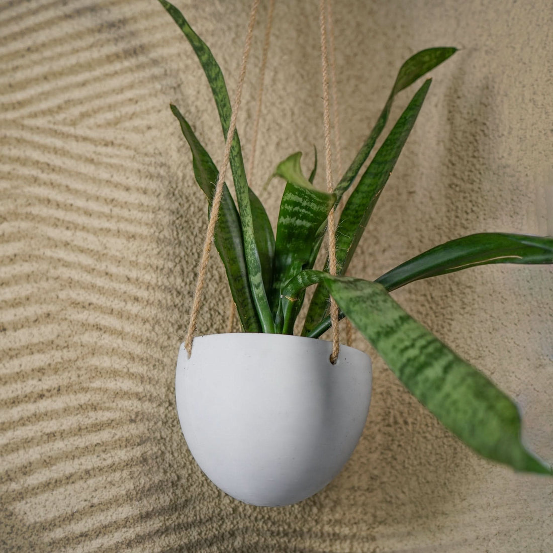 Rosebud HomeGoods Hanging Planter White / No Drainage / Small Minimalist Hanging Plant Pot with Drainage