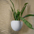 Rosebud HomeGoods Hanging Planter White / No Drainage / Small Minimalist Hanging Plant Pot with Drainage