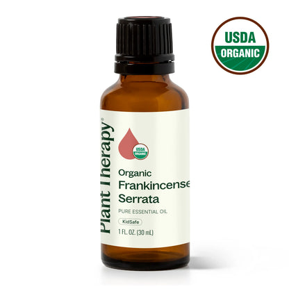 Plant Therapy Essential Oil Organic Frankincense Serrata Essential Oil