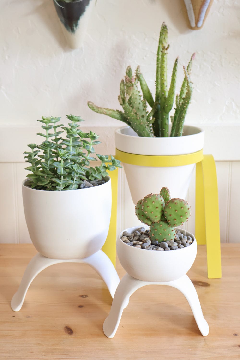 Carter + Rose Home &amp; Garden Ceramic Footed Plant Pots
