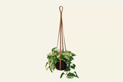 Urban Southern Honey Leather Plant Hanger
