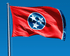 Flags Unlimited USA Nylon State Flags Tennessee