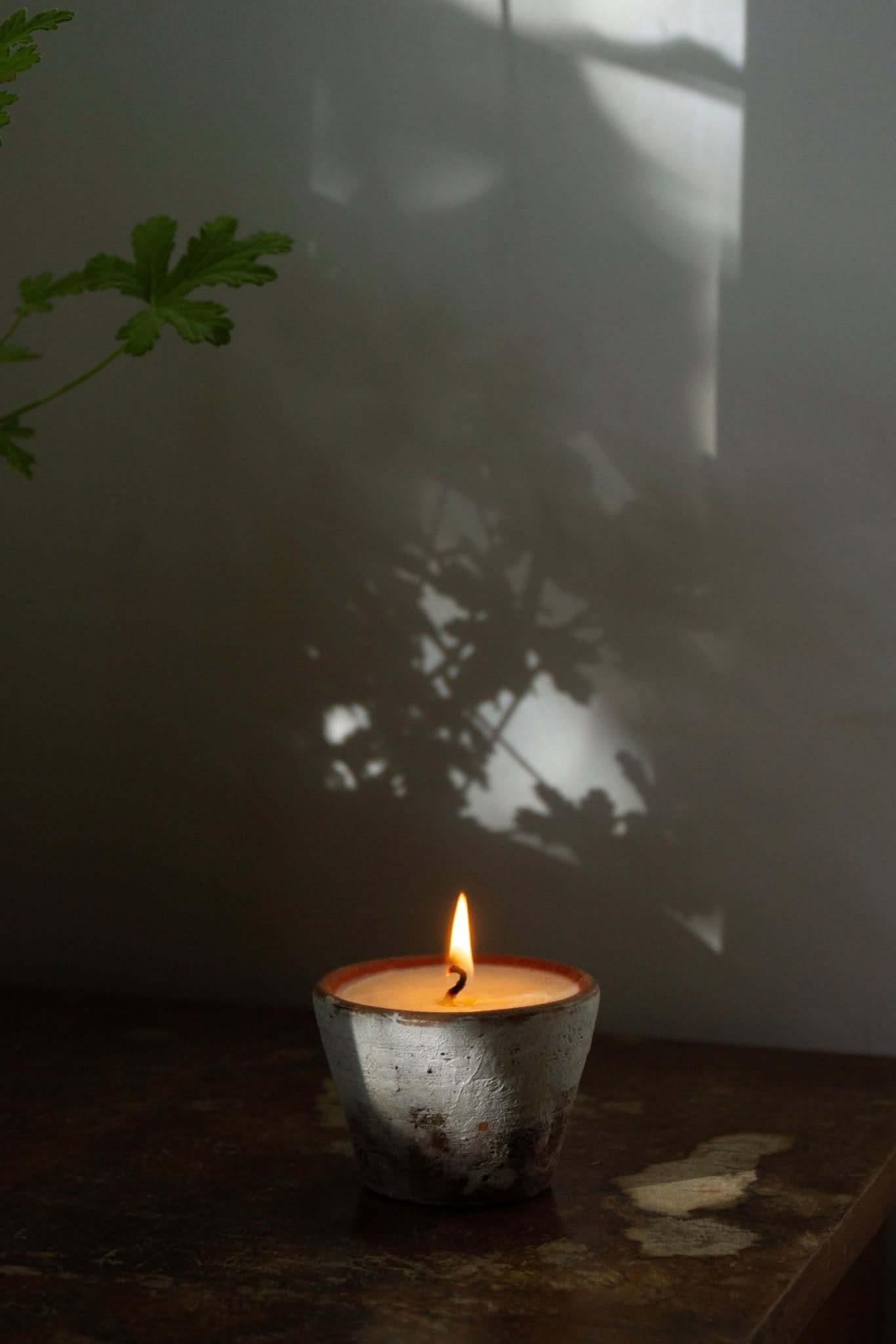 Summer Solace Tallow Tallow Candle Souchong Debut Earthen Tallow Candle – Smoke-Brushed Terracotta Vessel 4 oz